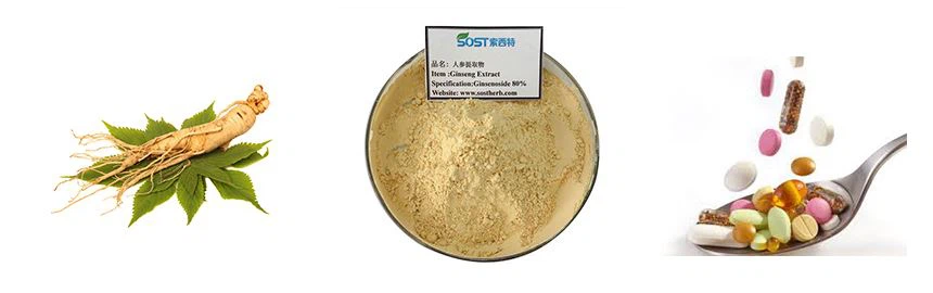 ginseng extract ginseng extract