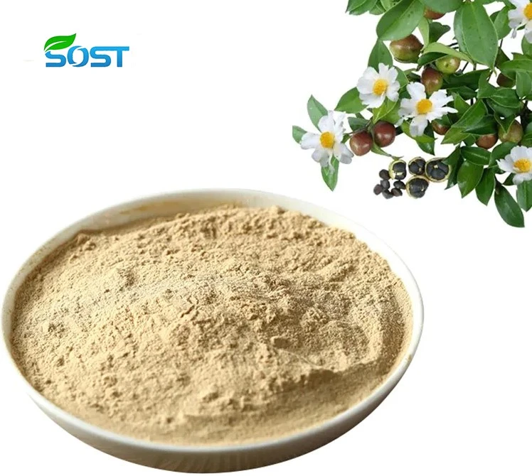 product-425-362 tea saponin powder4