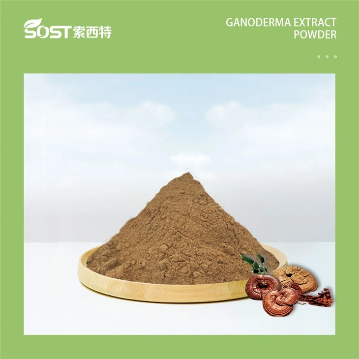 Ganoderma Lucidum Red Reishi Mushroom Extract1