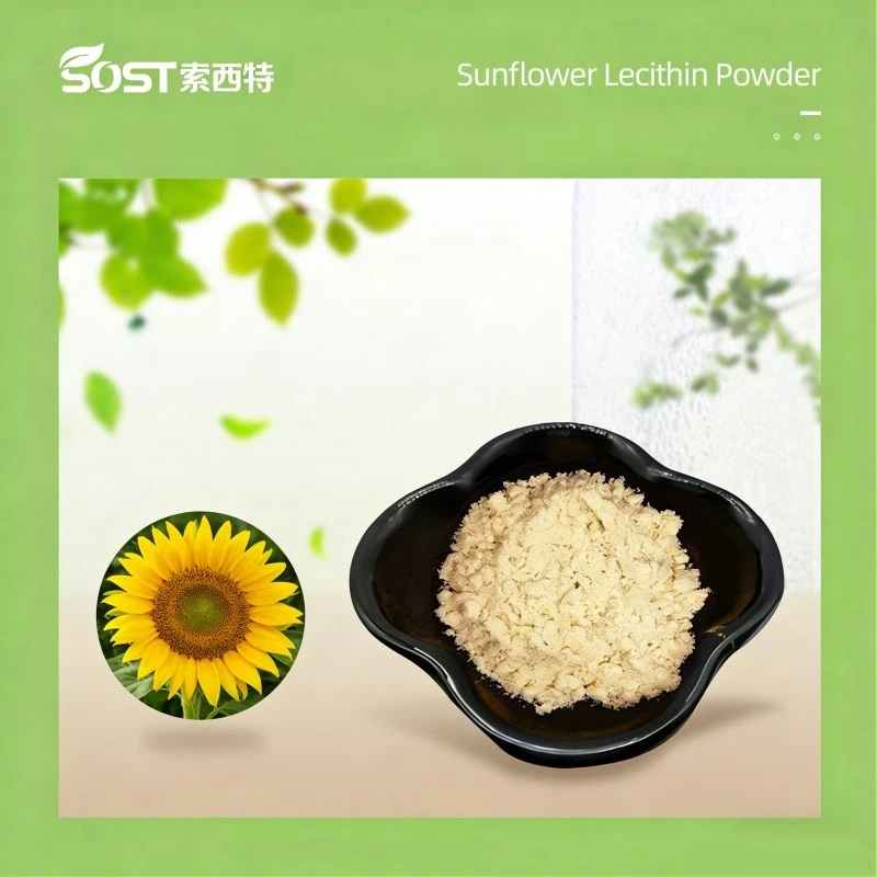 Sunflower Lecithin Powder