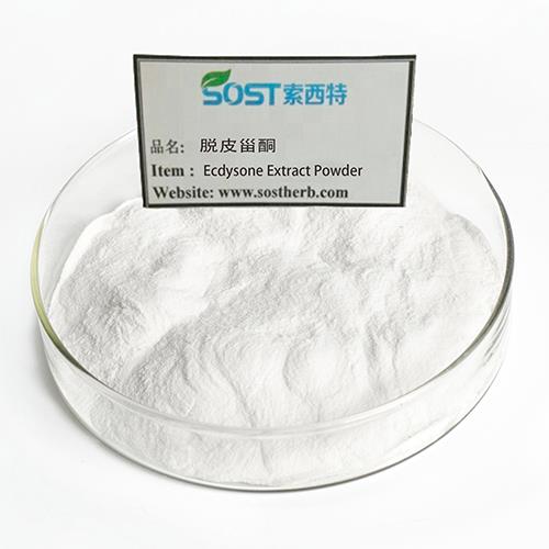 Ecdysone Extract Powder