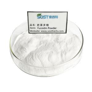 Fucoidan Powder