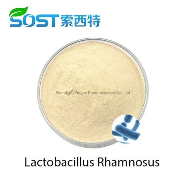 Lactobacillus Rhamnosus