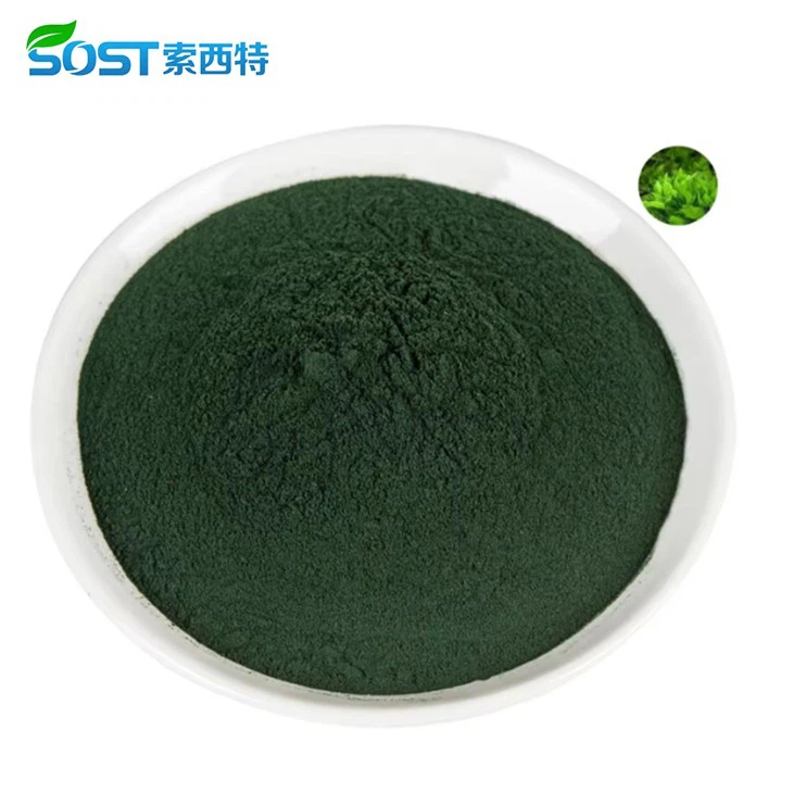 Chlorella Extract Powder