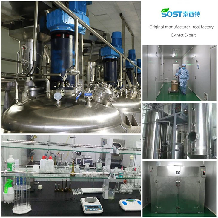 Dried Freeze Strawberry Powder