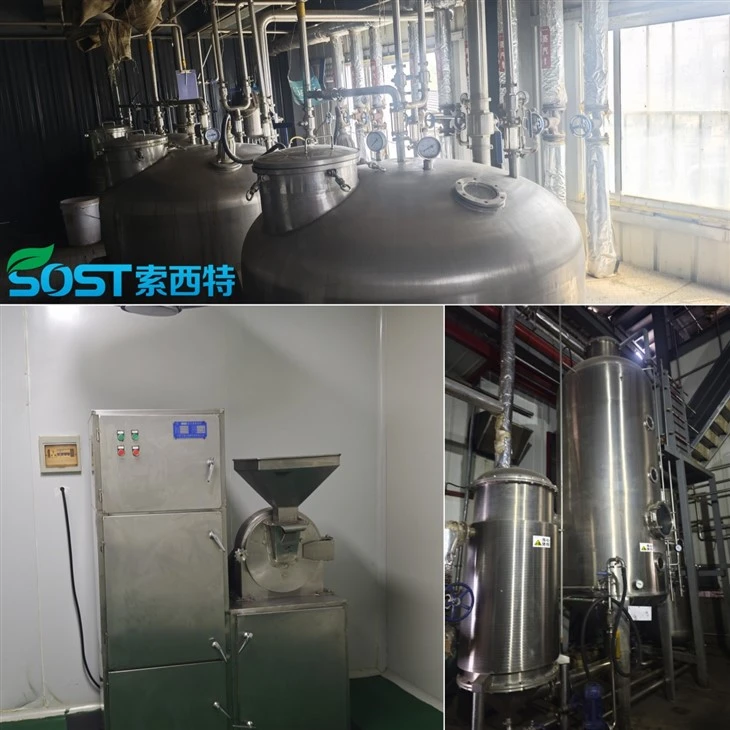 Semen Cassiae Extract best