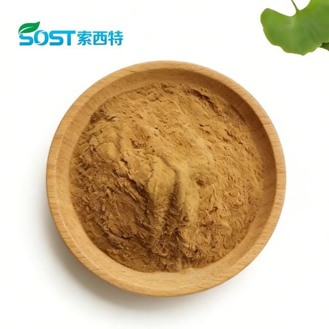 Ginkgo Biloba Leaf Extract suppliers